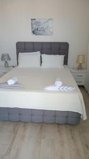 Altuntaş Villa Turizm Konutu - 8