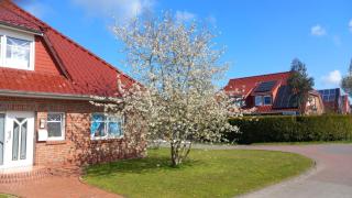 Stadtvilla "Julia" mit Whirlpool und Sauna - Norden - 9