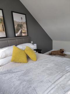 Quiet Loft Room - Bristol - 3