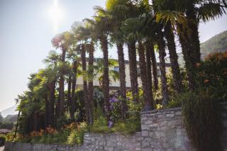Charme Hotel Barbatè - Tegna - 5