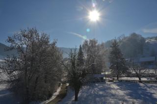 Haus Reichenbach - Glottertal - 5