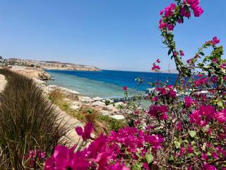 Red Sea Oasis Luxury Apartment - 0
