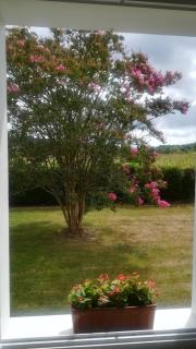 Cosy Pivoine - Magnifique villa sur 3000 m2 arboré avec jacuzzi - - 4