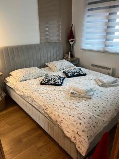 Lazarevic Lux - Vila Pekovic - Zlatibor - 2