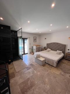 Villa haut de gamme avec piscine et jacuzzi - Piolenc - 8