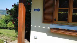 Appartement Fernblick - - 2