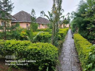 Analamazaotra Hôtel - Moramanga - 7