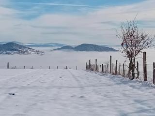 La petite campagne - Roche-en-Régnier - 1