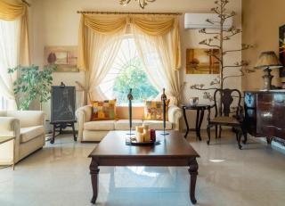 Olive Nest - Loúros - 0