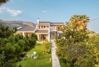 Olive Nest - Loúros - 6
