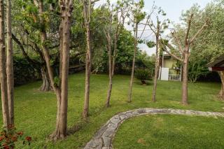 Olive Nest - Loúros - 5
