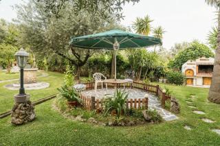 Olive Nest - Loúros - 1