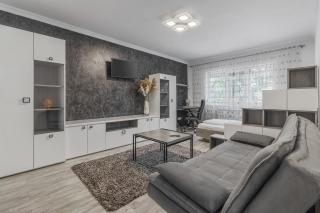 Gold and Grey Apartment - Oradea - 0