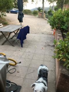 Appartement T2 independant dans mas isole - Sainte-Maxime - 4