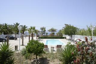 Adonis Gold Aegina - - 0