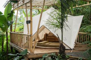 Nysa Forest Sanctuary - Jatiluwih - 0
