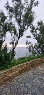 Bellavista - 9