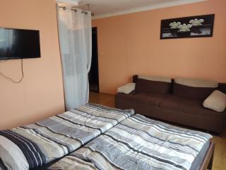 Apartamenty Wiśniowa - Apartament 4-6os Augustów - Augustów - 8
