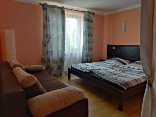 Apartamenty Wiśniowa - Apartament 4-6os Augustów - Augustów - 9