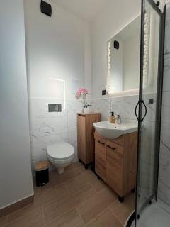 Villa REST & SPA - Zbiczno - 1