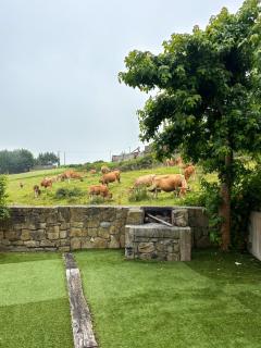 Villa Suances - Tagle - 9
