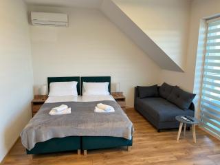 Villa REST & SPA - Zbiczno - 9