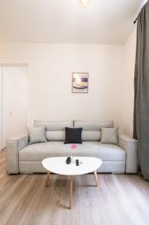 Modern Apartments in the Center of Sarajevo - 5