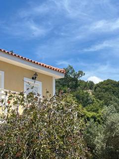 Jimmy Anna Beachfront Apartments Naturist Private Beach - 4