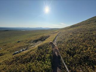 Idre Himmelfjäll Resort - 7