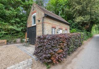 Darnley Lodge - Cobham - 0