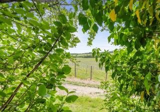 Darnley Lodge - Cobham - 5