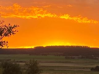 Cottage Farmhouse - Huntly - 4