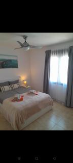 Alice’s Wonderland - Oleza Garden - Pool & garden View - Playa Flamenca - 2