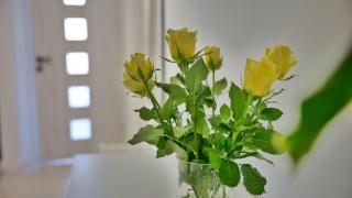 Apartment Ambienta Samobor - Samobor - 8