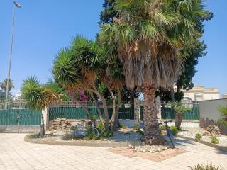 Casa Delle Rose, struttura con parcheggio privato - Porto Cesareo - 3