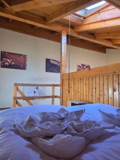 Downtown Apartman - Friends - Győr - 6