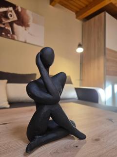 Downtown Apartman - Friends - Győr - 3