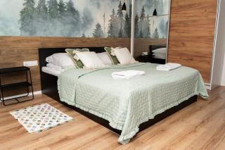 Apartament City Center Piłsudskiego - Krynica-Zdrój - 5