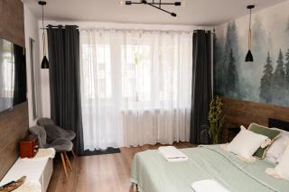 Apartament City Center Piłsudskiego - Krynica-Zdrój - 1