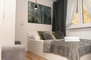 Apartament City Center Piłsudskiego - Krynica-Zdrój - 6