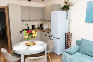 Apartament City Center Piłsudskiego - Krynica-Zdrój - 9