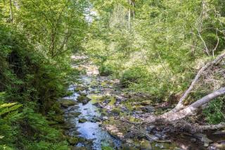 Beckside Cottage, Netherby, near Carlisle - Longtown - 1