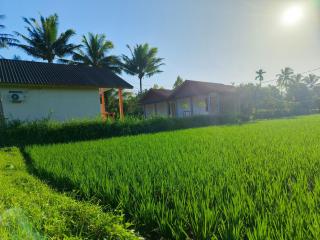 Bale Tetebatu - Tetebatu - 4