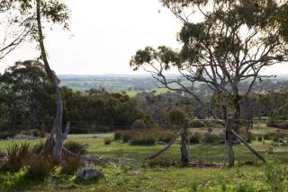 Broken Gum Country Retreat - 3