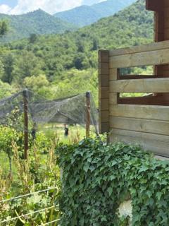 Green Training Center HOVK - Dilijan - 9