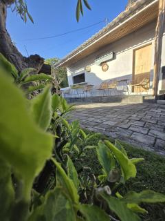 The Kanha Palace - 5