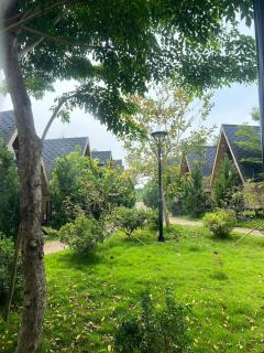 Cao Phong Glamping - 6