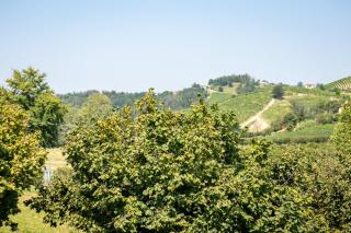Cà d'Rita Monferrato - Chardonnay - Vaglio Serra - 2