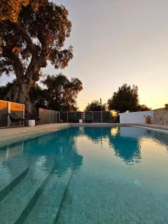 Paxos Dream House - 9