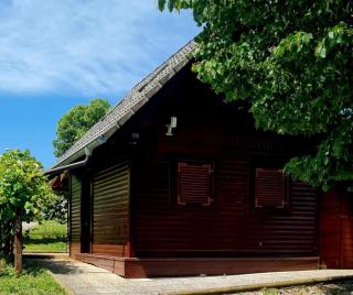 Lake house Amur - Kočevje - 9